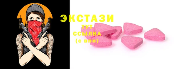 ECSTASY Алзамай