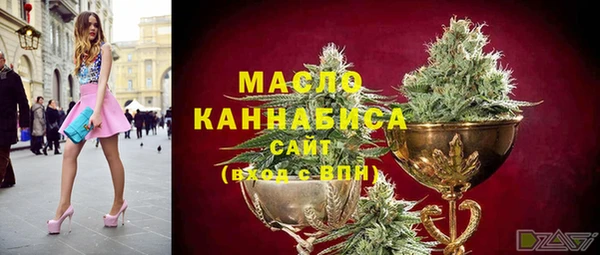 ECSTASY Алзамай