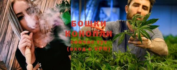 сатива Абаза