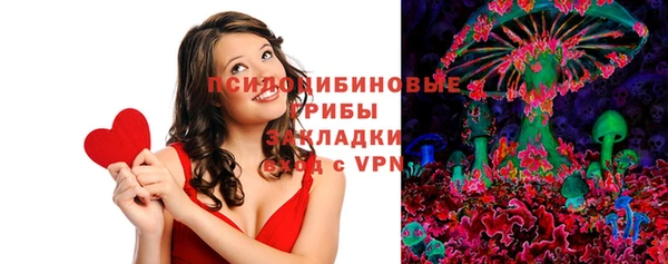 ECSTASY Алзамай