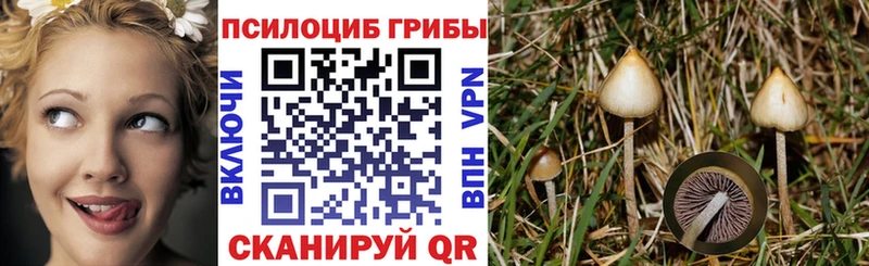 Галлюциногенные грибы прущие грибы  МЕГА как зайти  Змеиногорск  купить  цена 