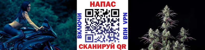 Шишки марихуана планчик Змеиногорск